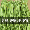 【MLT】鲜嫩长豆角  新鲜脆嫩  美味佳肴  新鲜蔬菜 商品缩略图2