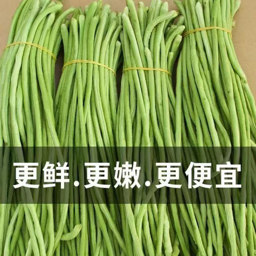 【MLT】鲜嫩长豆角  新鲜脆嫩  美味佳肴  新鲜蔬菜 商品图2