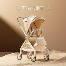 丸丫 T9婴儿推车（香槟金）