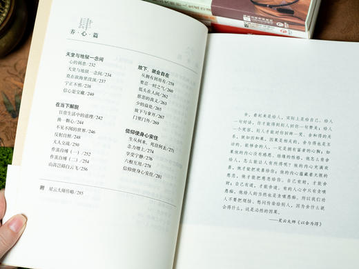 《星云大师著作集》（典藏5册）|含金刚经讲义著作，汇集星云大师毕生经典之作，典雅装帧，越过人生的迷途、纷扰，启迪智慧、解惑人生、收获宁静！ 商品图5