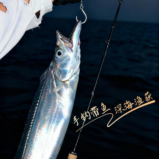 【年货礼盒】深海钓带礼 精选整条新鲜冷冻刀鱼2-4条 商品图2