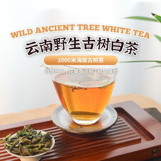 云南野生白茶|自然生晒 商品图0
