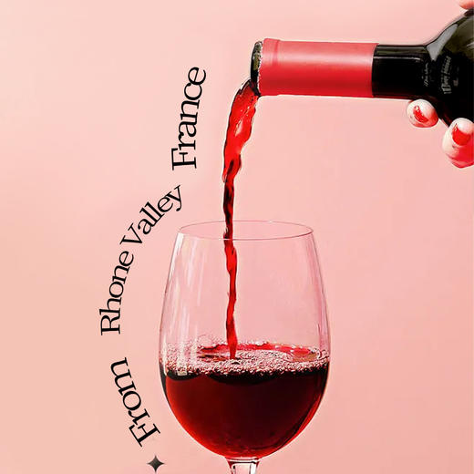 一价到底 【法国原装进口梅洛干红】罗纳河谷王子酒庄酿  巴黎金奖  梅洛干红。 商品图4