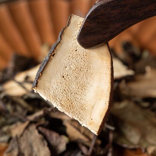 得幸x昔物所松杉灵芝白茶|西藏松杉金边灵芝+福鼎8年老白茶，醇和、顺滑、不涩口 商品图5