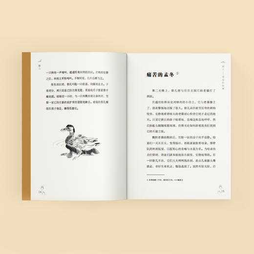 《特鲁申·北境森林奇旅》（全3册） 商品图5