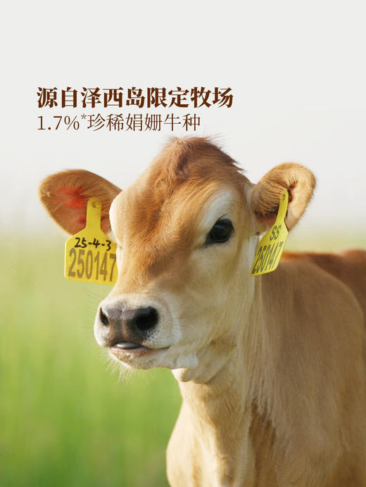 MM 山姆 光明娟姗鲜牛奶 900ml*2 商品图3