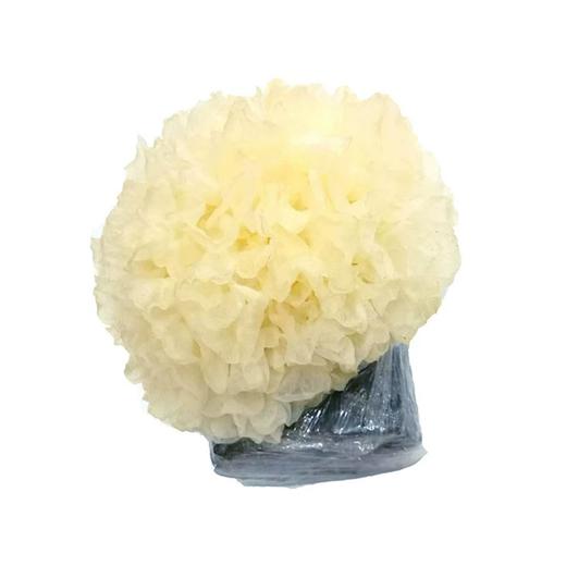 新银耳菇（朵） 单份买放心菜就上瑞和泰 商品图0