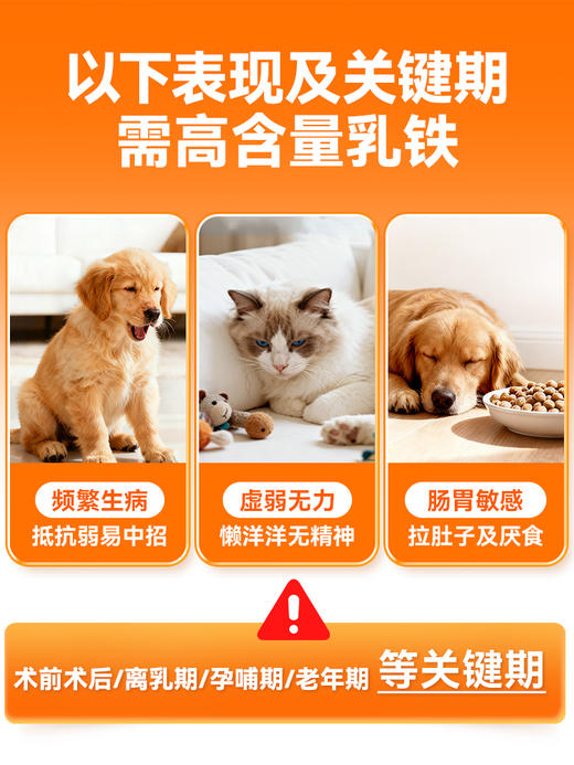 普安特乳铁蛋白猫宠物狗狗专用营养补充增强免疫抵抗力抑菌护肠道超免乳铁蛋白300mg 商品图1