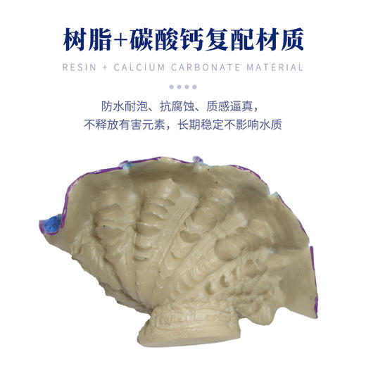 仿真砗磲摆件 商品图1