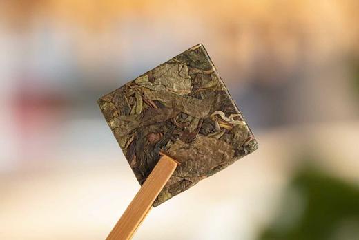 【2019野芳古树黄金叶】 500年以上纯野放古树茶，妖孽般的黄金叶 商品图7