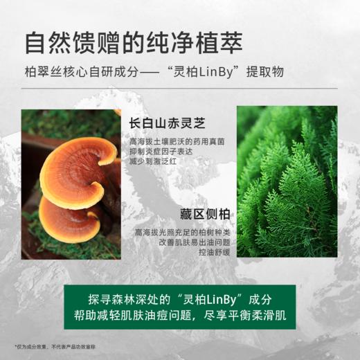 柏翠丝无酸SPA小绿棒去黑头控油清洁泥膜棒40g 商品图2