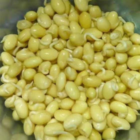 【MLT】新鲜黄豆嘴  炒菜  凉拌  炖菜  黄豆嘴新鲜蔬菜