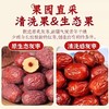 【带土原枣】新疆灰枣未清洗 自然风干 营养不流失 炖汤泡茶佳品 商品缩略图3