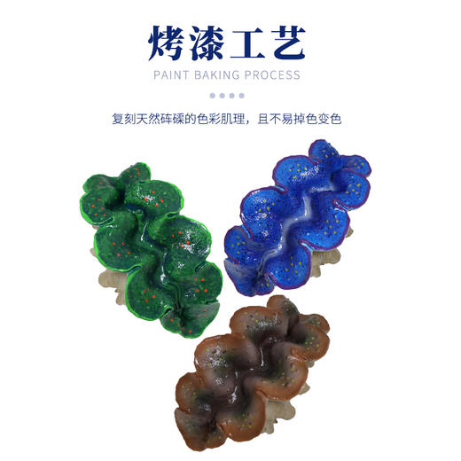 仿真砗磲摆件 商品图2