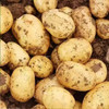 【SF】黄皮大土豆   农家蔬菜    细腻软糯 商品缩略图2