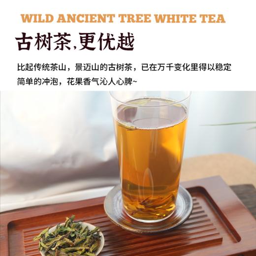 云南野生白茶|自然生晒 商品图3