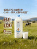 MM 山姆 Member's Mark 低脂高钙鲜牛奶 2L 商品缩略图1