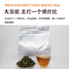 云南野生白茶|自然生晒 商品缩略图4