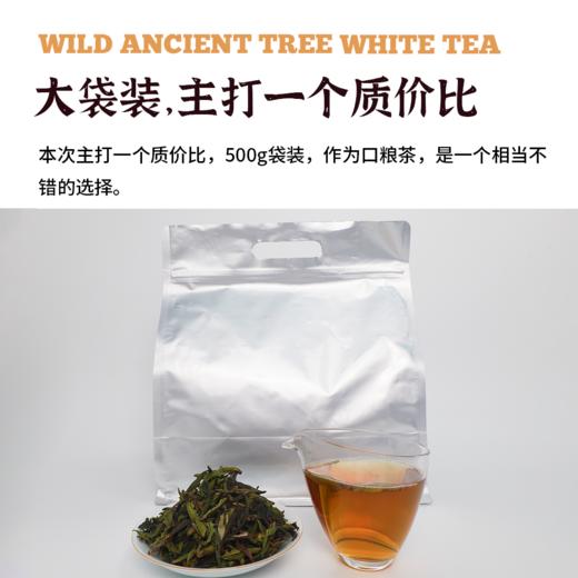 云南野生白茶|自然生晒 商品图4