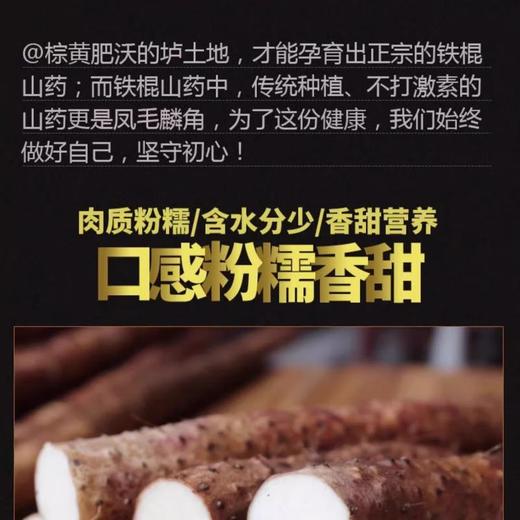 焦作温县铁棍山药（大）(地标) 商品图2