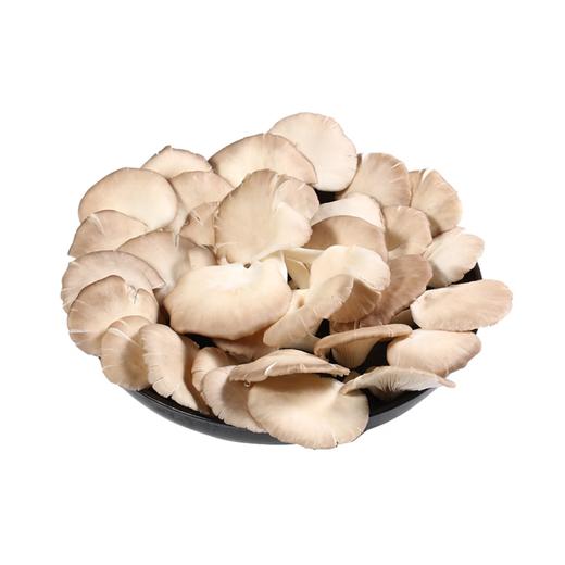 生鲜传奇精选秀珍菇230g 单盒  ±10g 买放心菜就上瑞和泰 商品图0