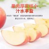 【白水苹果】红富士4.5-5斤12枚75#中果 商品缩略图3