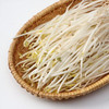 【MLT】新鲜绿豆芽  茎秆白嫩  豆香清晰  绿色蔬菜 商品缩略图3