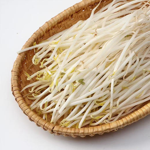 【MLT】新鲜绿豆芽  茎秆白嫩  豆香清晰  绿色蔬菜 商品图3