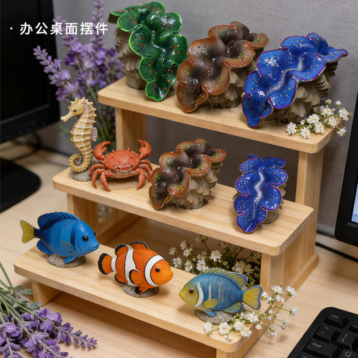 仿真砗磲摆件 商品图10