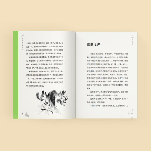 《特鲁申·北境森林奇旅》（全3册） 商品图13