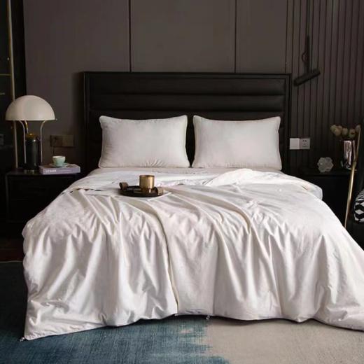 【春上新】10楼 恐龙 雅悦全棉提花桑蚕丝被-春秋/冬被 吊牌价3880-6880元 活动价999-1999元 商品图0