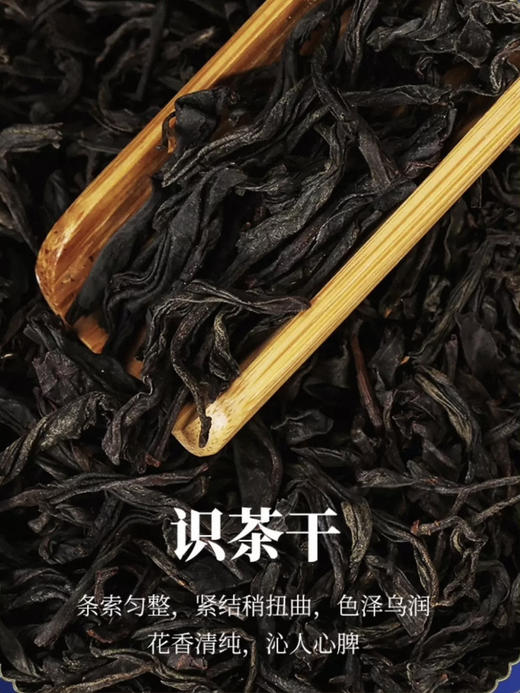 骏德茶业 武夷山红茶茶叶桐木关 正山小种小种野茶50g罐装 商品图3