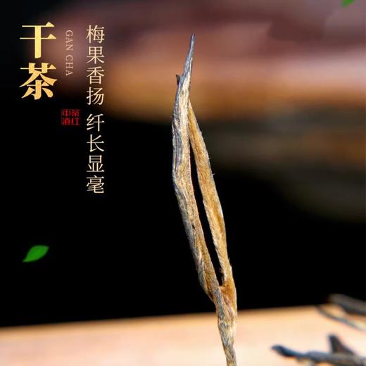 中茶滇红古树红茶云南大叶种一级工夫红茶罐装散茶200g （4g*50） 商品图3