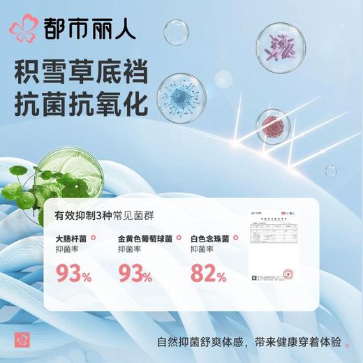 都市丽人内裤女士内裤100支棉内裤棉质内裤舒肤棉LKC5B6 商品图7