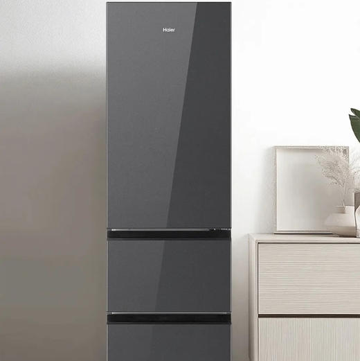 海尔（Haier）冰箱 BCD-308WGHD3E7YS 商品图4