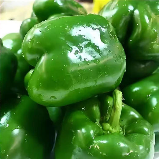 【MLT】微甜不拉  新鲜青椒  肉厚多汁 商品图0
