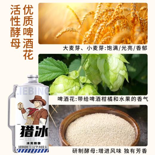 【猎冰精酿啤酒】弱碱水酿造，麦香爽口饱满，一饮难忘！ 商品图1