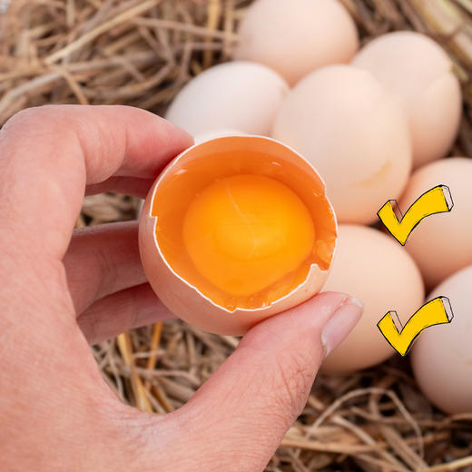 哈曼丁 金色凤堰（爱心助农）秦岭山林散养蛋 30枚/（箱） 商品图2