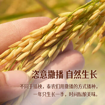 孟乍隆 泰国茉莉香米 大米1斤 小包装 泰国香米 长粒米 /粮油调味 /米 /泰国香米 商品图3