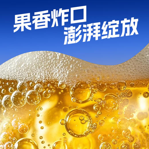 会稽山官旗   气泡黄酒原味易拉罐装330ml*12 商品图2
