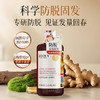 卓蓝雅 | 生姜防脱固发去屑控油头皮洗发水400ml （1号） 商品缩略图5
