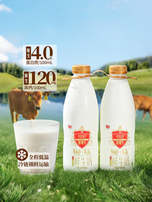 MM 山姆 光明娟姗鲜牛奶 900ml*2 商品图1