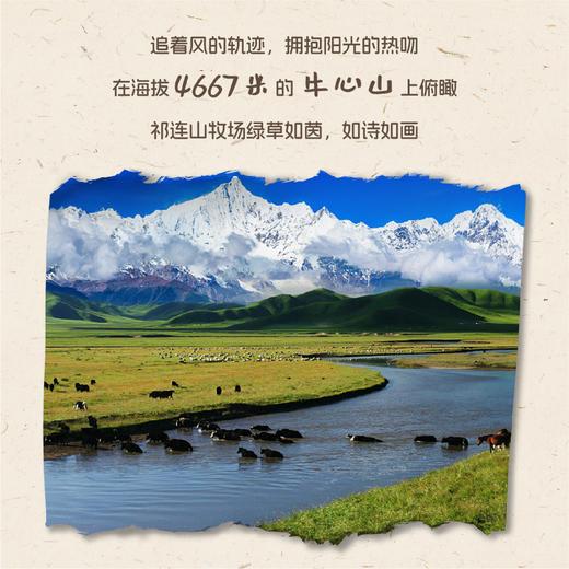 【组合更优惠】天境雪域牦阿布纯牛奶 青海祁连纯牛奶 200ml*20支 商品图2