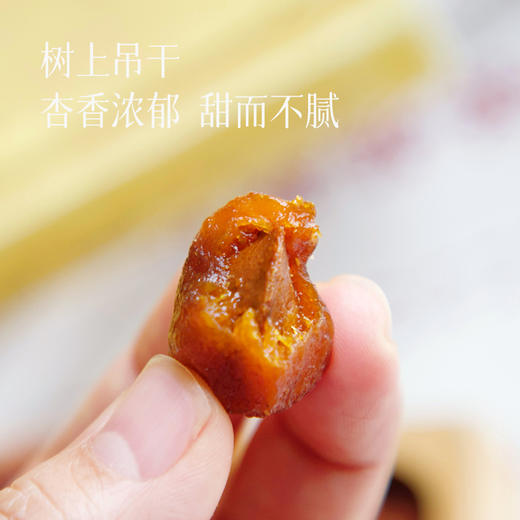 食养节【可以和西梅干/椰枣/乌梅拼单 2罐减5元 3罐减10元】【新疆 小吊杏和大丑杏】自然树上吊干 小吊杏更接近鲜果的味道，大丑杏果肉更多更厚实，吃起来满足感.湖州仓 商品图1