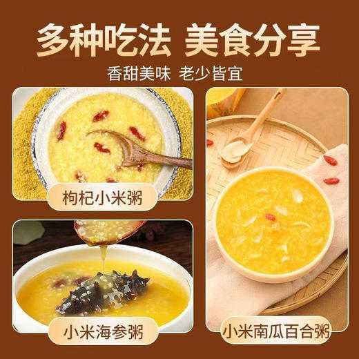 【MLT】黄小米  新年新米  米香  醇正  浓浓米香味道 商品图2