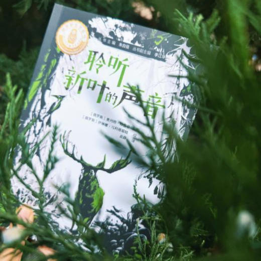 《特鲁申·北境森林奇旅》（全3册） 商品图11