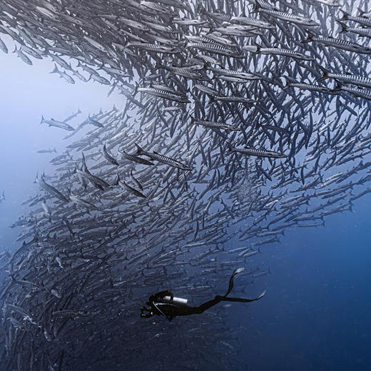 印尼马拉图蓝海度假村 商品图1