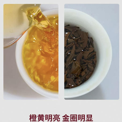 骏德茶业 武夷山桐木关正山小种特级50g罐千芳尽品茶叶伴手礼 商品图3