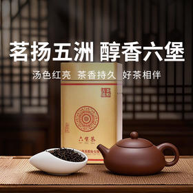【梧州六堡茶】醇厚甘美 入口绵滑 口感细腻
