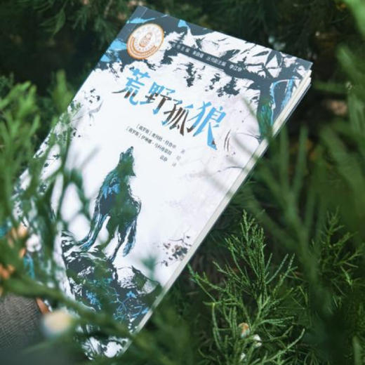 《特鲁申·北境森林奇旅》（全3册） 商品图6